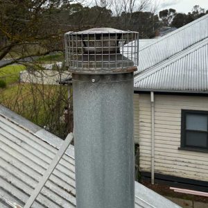 Bird Removal