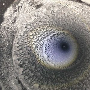 preston chimney sweep