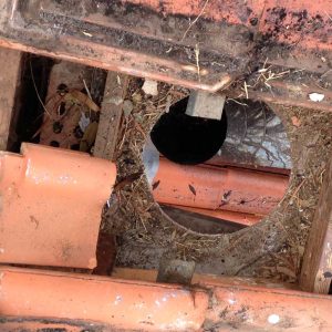 preston chimney sweep