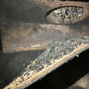 Canterbury Chimney Sweep