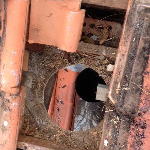 Canterbury Chimney Sweep