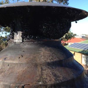 cheltenham chimney sweep