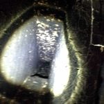 Sunshine Chimney Sweep & Wood Heater Repair Services