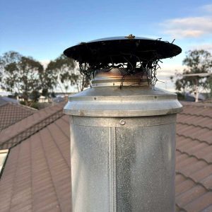 Chimney sweep Keilor