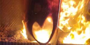 Doreen Firewood